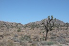 2011_USA